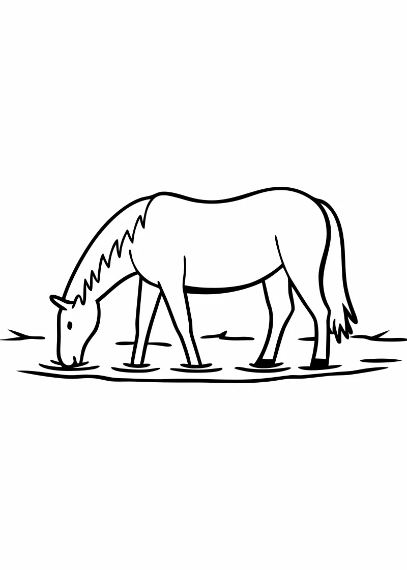 Kolorowanka koniki – format A4 PDF - wariant 23