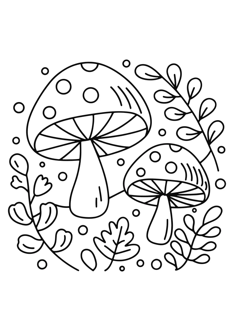 Kolorowanka grzyby – format A4 PDF