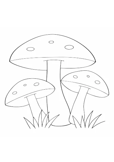 Pokoloruj grzyby – darmowy szablon PDF