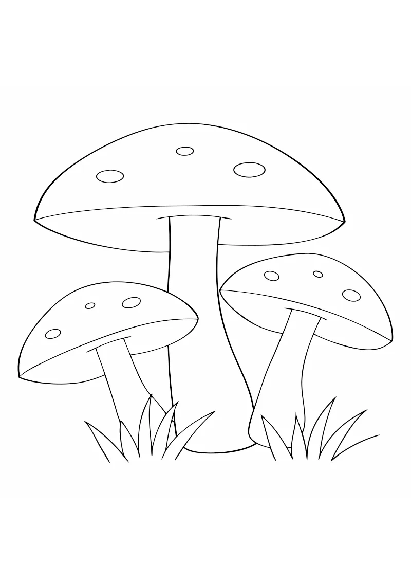 Pokoloruj grzyby – darmowy szablon PDF