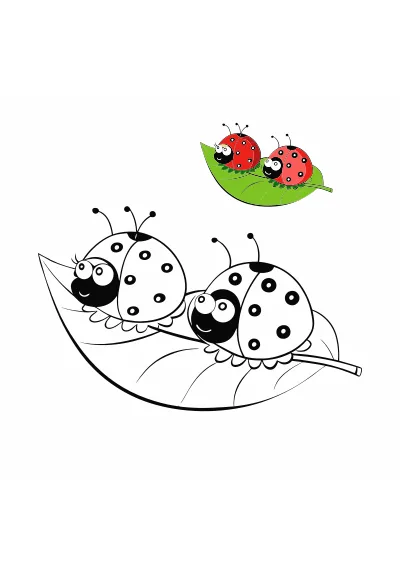 Kolorowanki biedronki