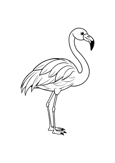flamingi kolorowanki dla dzieci