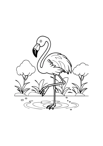 flamingi kolorowanka dla dzieci