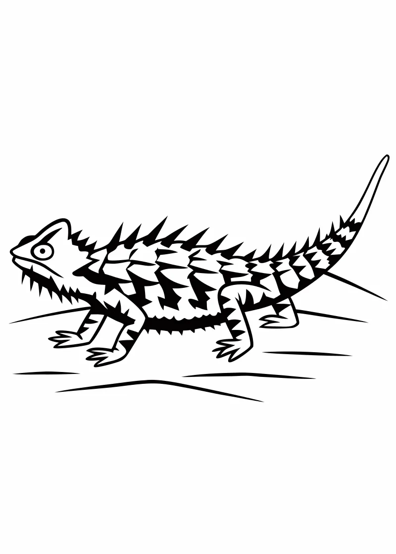 Kolorowanka jaszczurki