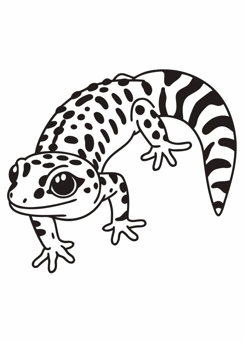 Kolorowanka jaszczurki
