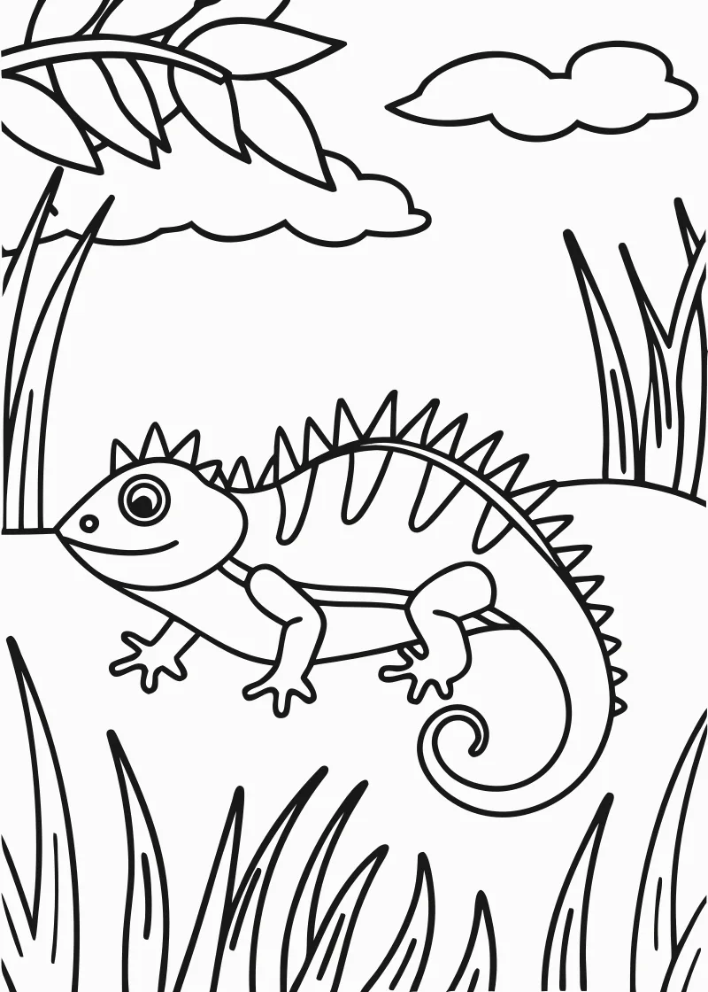 Kolorowanka jaszczurki