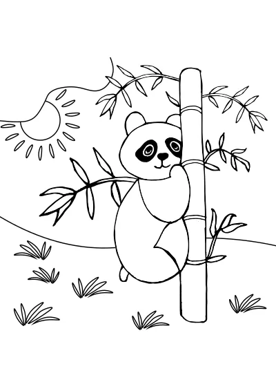 Kolorowanka pandy