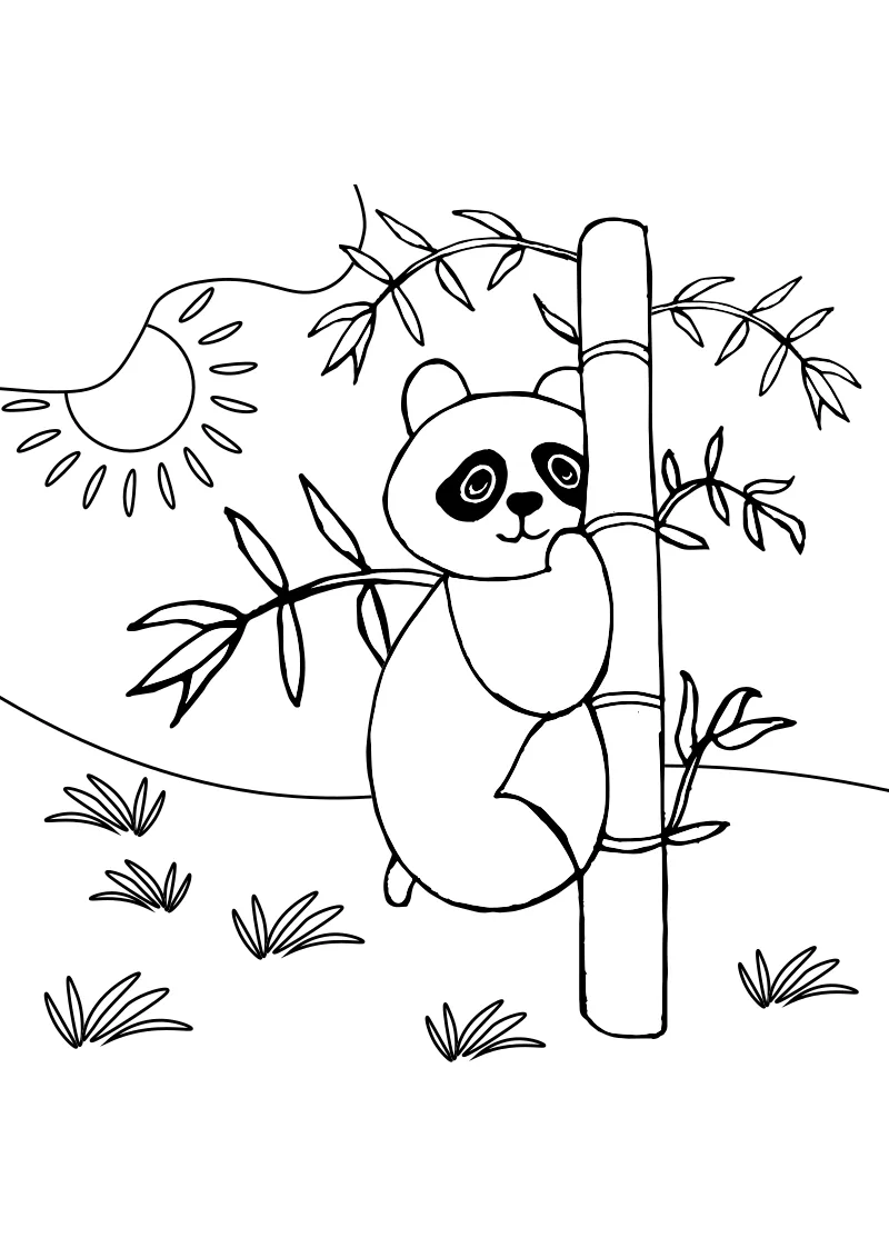 Kolorowanka pandy