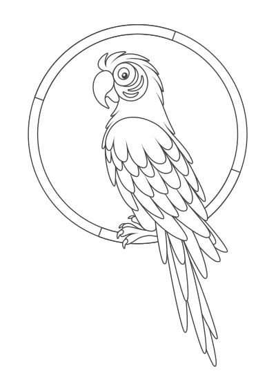 Kolorowanka papugi – format A4 PDF