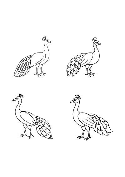 kolorowanka do druku pawie PDF