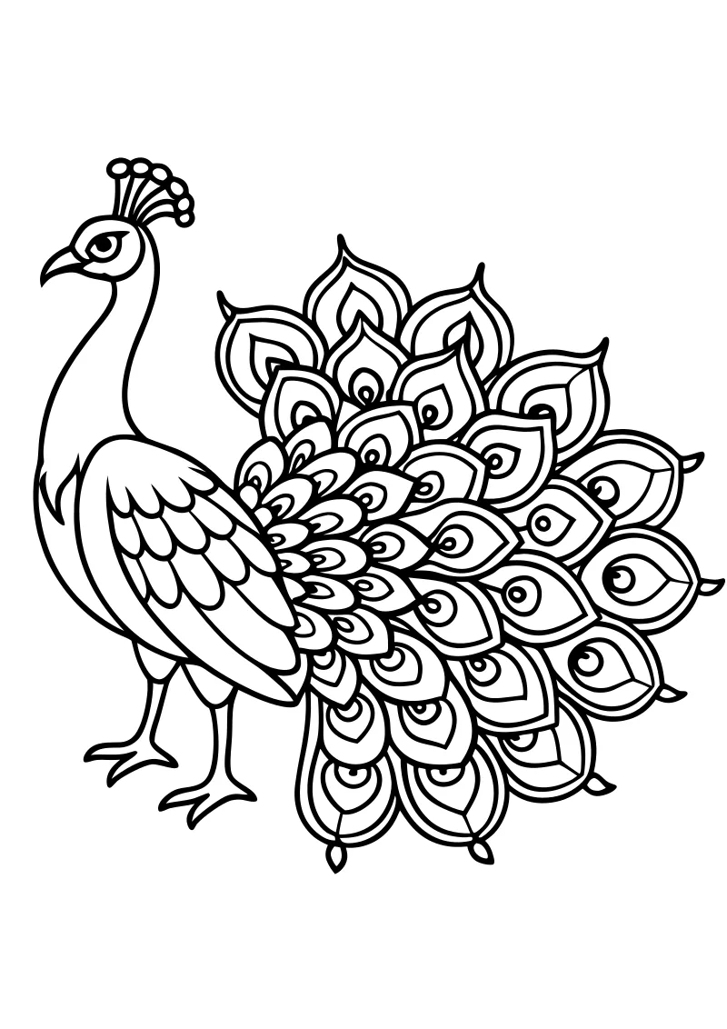 Kolorowanki pawie